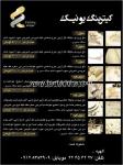 دندانپزشکی دکترشاهرخ بزرگ