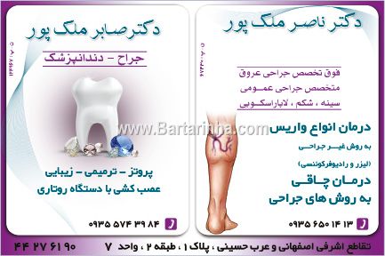 دکتر ناصر ملک پور