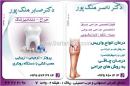 دکتر ناصر ملک پور