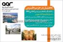 اندیشه آفرینان رها