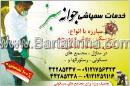 خدمات سمپاشی جوانه سبز