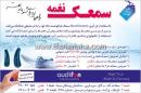 سمعک نغمه