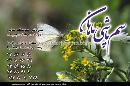 سم پاشی ماهان