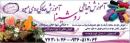 خدمات مجالس روشینا