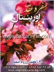 سفره عقد اسپیناس