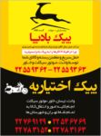 پیک بادپا - کد 855