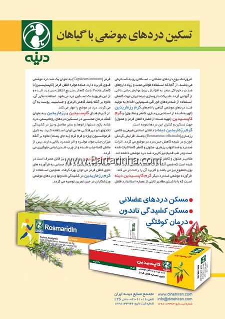 مجتمع صنایع دینه ایران - کاپسیدین