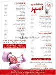 تهیه غذای ضیافت نوین امیر