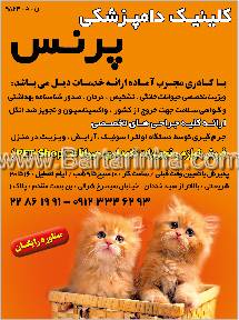 کلینیک دامپزشکی پرنس