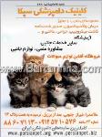 کلینیک دامپزشکی سپکا