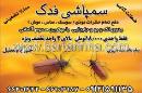 سمپاشی فدک