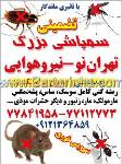 سمپاشی بزرگ تهران نو- نیروی هوایی