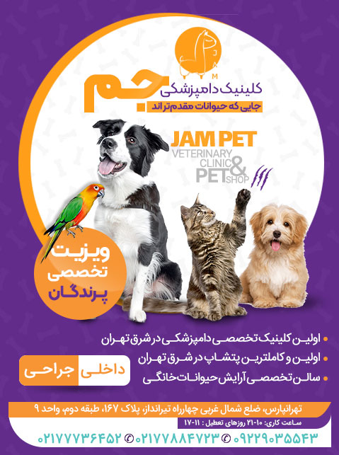کلینیک دامپزشکی جم