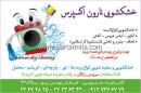 خشکشویی نارون