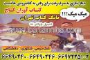 کتاب آوران کاج