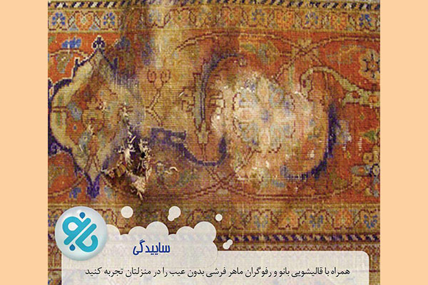 قالیشویی بانو - کد 232