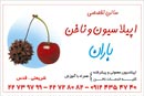 سالن اپیلاسیون باران