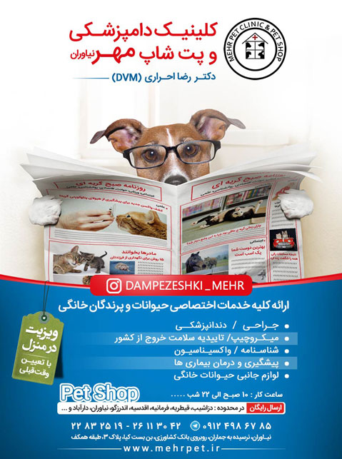 کلینیک دامپزشکی مهر نیاوران