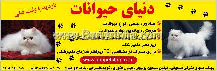 دنیای حیوانات