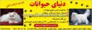 دنیای حیوانات
