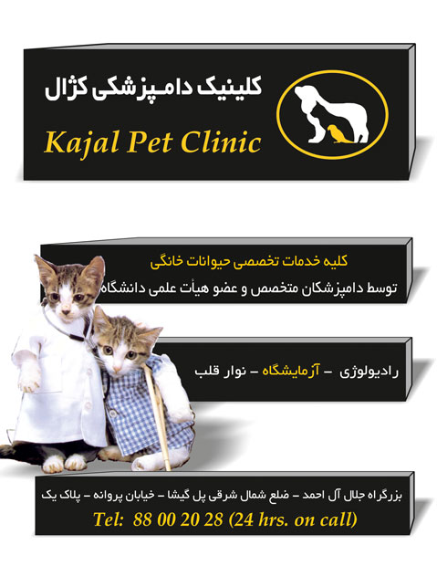 کلینیک دامپزشکی کژال