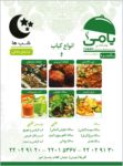 تهیه غذای یامی