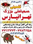 سمپاشی تهرانپارس