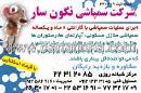شرکت سمپاشی نگون سار 