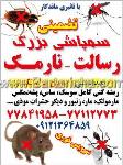 سمپاشی بزرگ رسالت - نارمک