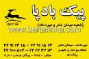 پیک بادپا - کد563