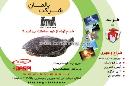 شرکت بالمان - دوربین مداربسته و درب