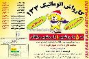 کارواش اتوماتیک 133