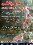 شرکت تابش افکن تهران