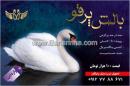 بالش پر قو