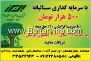 بیمه بازنشستگی بیمه البرز