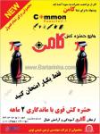 حشره کش مایع کامن
