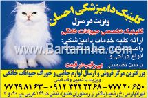 کلینیک دامپزشکی احسان