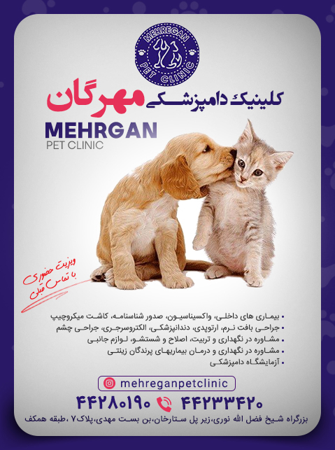 کلینیک دامپزشکی مهرگان