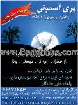 پری آسمونی