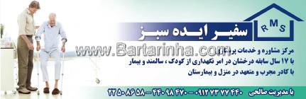 سفیر ایده سبز