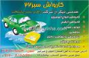 کارواش سبز22