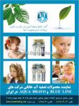 سیوان تجارت پاسارگاد