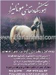 آموزشگاه نقاشی مونالیزا