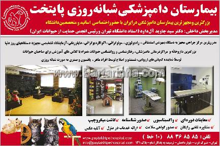 بیمارستان دامپزشکی پایتخت
