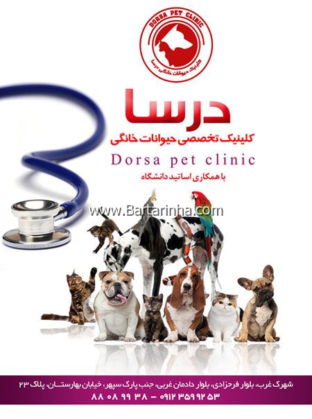 کلینیک دامپزشکی درسا