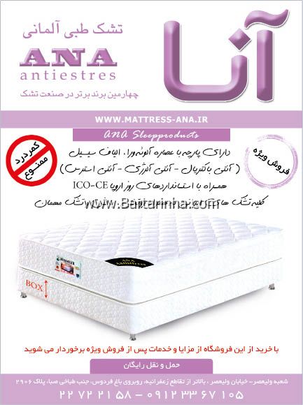 تشک برجیس