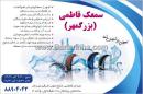 سمعک فاطمی بزرگمهر